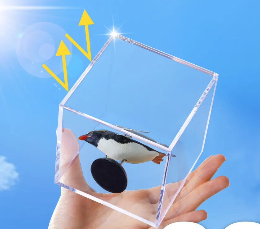 日差しの下で、ペンギンのフィギュアを入れたケースを手に載せている